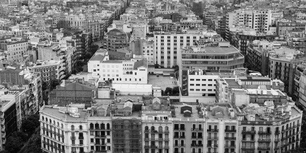 Delitos Contra la Propiedad / Urbanísticos Pinoso · Parcelación en Suelo No Edificable