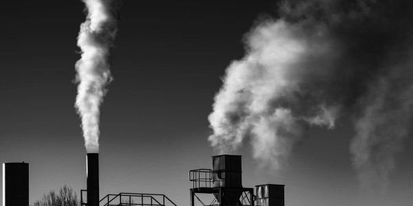 Delitos Societarios Benferri · Delitos Contra el Medioambiente / Contaminación