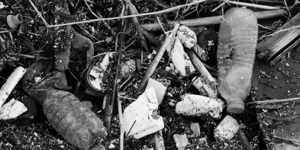 Delitos Societarios Benferri · Delitos Contra los Recursos Naturales / Medioambiente